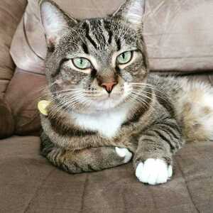 Fundraising Page: Jesse Roof